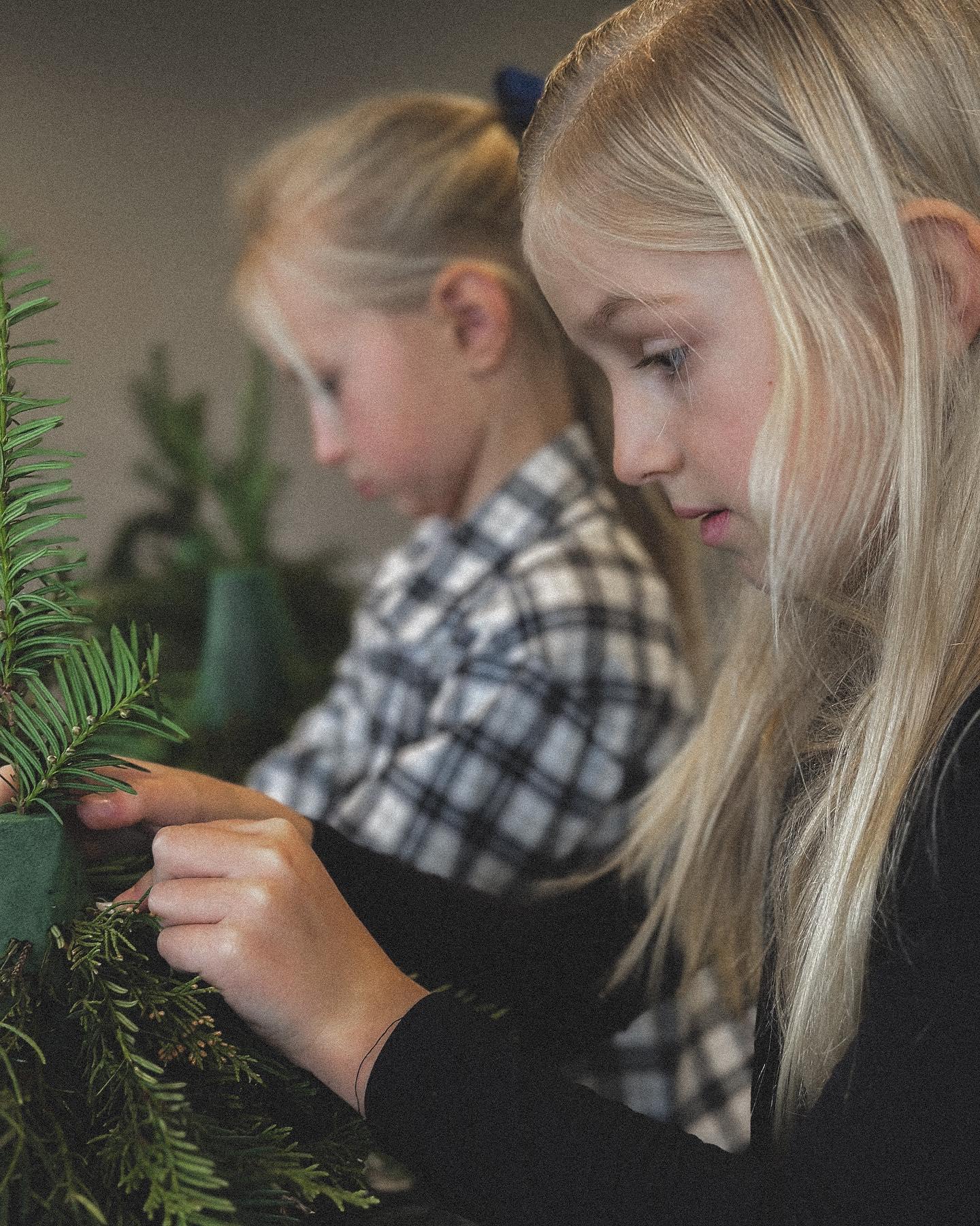 Close-up of small hands building a holiday evergreen arrangement with pine cones and berries